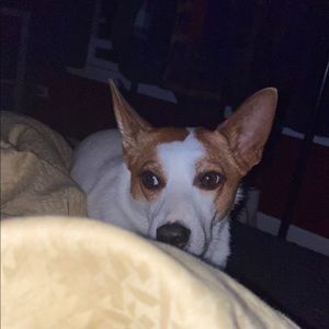 Meet your Posher, Ethan